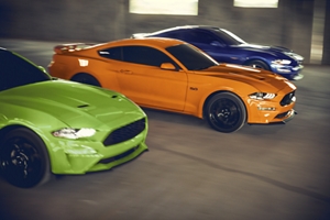 2019 Mustang Color Chart
