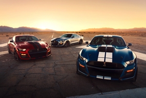 2019 Mustang Color Chart