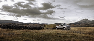 2014 Ford F250 Towing Capacity Chart